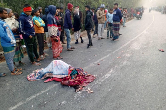জলঢাকায় ট্রাক-অটোরিকশা সংঘর্ষে নারী নিহত, আহত ২