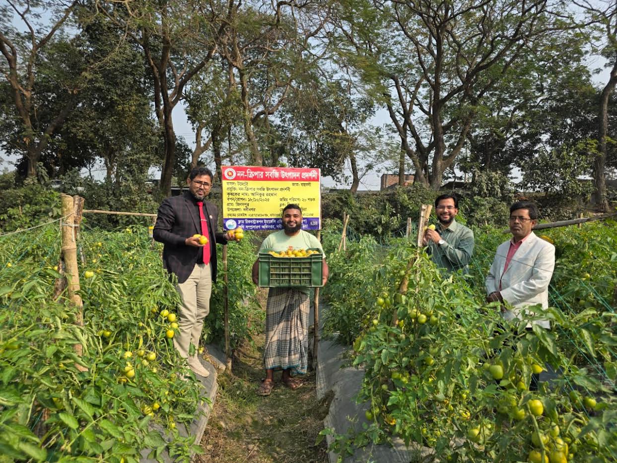 নবীনগরে ধান ছেড়ে সবজি চাষে সফল তরুণ অনিক