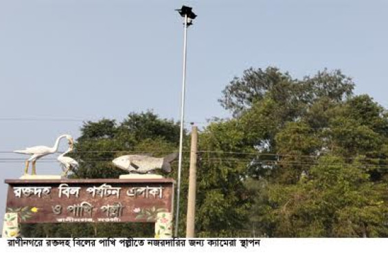 রক্তদহ বিলের পাখি পল্লী ও মাছ রক্ষায় সিসি ক্যামেরা স্থাপন