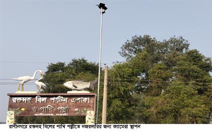 রক্তদহ বিলের পাখি পল্লী ও মাছ রক্ষায় সিসি ক্যামেরা স্থাপন