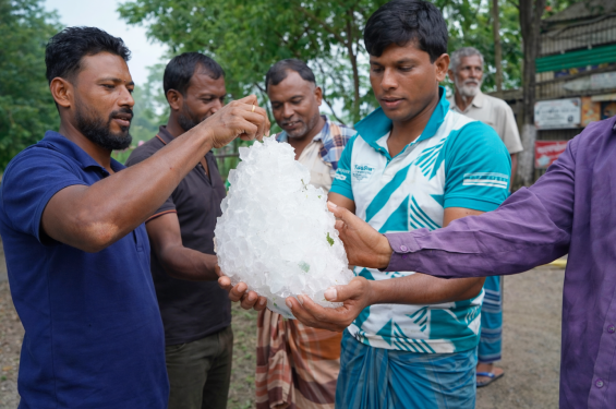 কালীগঞ্জে কৃষি জমিতে মিলল বিশাল আকৃতির শিলাখণ্ড