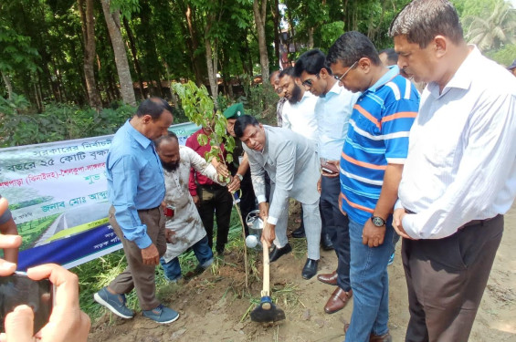 ঝিনাইদহের ২৬ কিলোমিটার সড়কে বৃক্ষরোপন কর্মসূচীর উদ্বোধন
