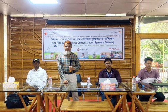 ঠাকুরগাঁওয়ে পুষ্টি চাহিদা পূরণে  জিংক সমৃদ্ধ ধান-গম চাষ বৃদ্ধির লক্ষ্যে কৃষক প্রশিক্ষণ