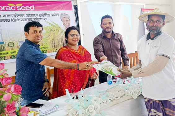 লোহাগড়ায় ‘আধুনিক উৎপাদন কলাকৌশল প্রয়োগে হাইব্রিড ধানের অধিক ফলন নিশ্চিতকরণ কর্মশালা’ অনুষ্ঠিত