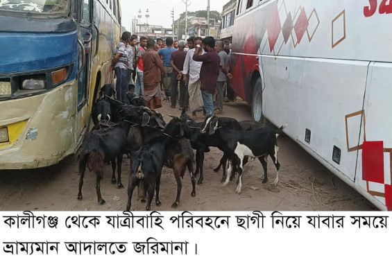 যাত্রীবাহি পরিবহনের ল্যাগেজ বক্সে ছাগল বহনের দায়ে ৫০ হাজার টাকা জরিমানা