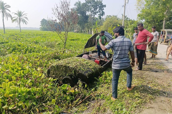 শার্শার ঠেঙামারী বিল : কচুরিপানায় ডুবে আছে হাজার হাজার বিঘা চাষের জমি