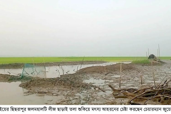 দিরাইয়ের ছিছরাপুর জলমহালটি লীজ ছাড়াই তলা শুকিয়ে মৎস্য আহরনের চেষ্টা করছেন চেয়ারম্যান জুয়েল