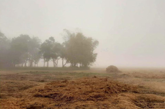 ঘন কুয়াশা আর কনকনে শীতের দাপটে স্থবির মৌলভীবাজার জনজীবন