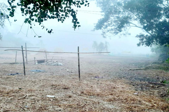 শৈত্যপ্রবাহে কাঁপছে শ্রীমঙ্গল, জেঁকে বসেছে ঘন কুয়াশা
