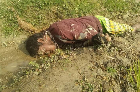 নবীনগর বিল থেকে ভ্যান চালকের মরদেহ উদ্ধার।