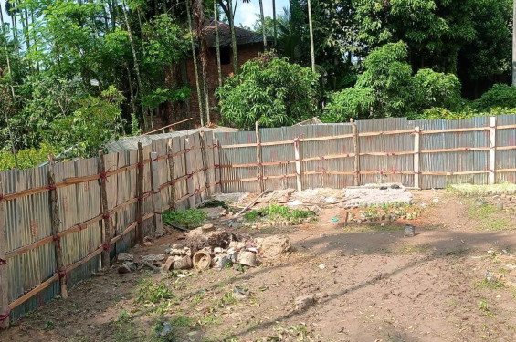 বাঁশখালীতে ছাত্রদল নেতার নেতৃত্বে নার্সারির গাছ কেটে জায়গা দখলের অভিযোগ: থানায় মামলা, তদন্ত শুরু