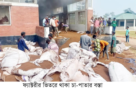 চুনারুঘাটে চা বাগানের ফ্যাক্টরিতে ভয়াবহ অগ্নিকান্ড : ব্যাপক ক্ষয়ক্ষতি