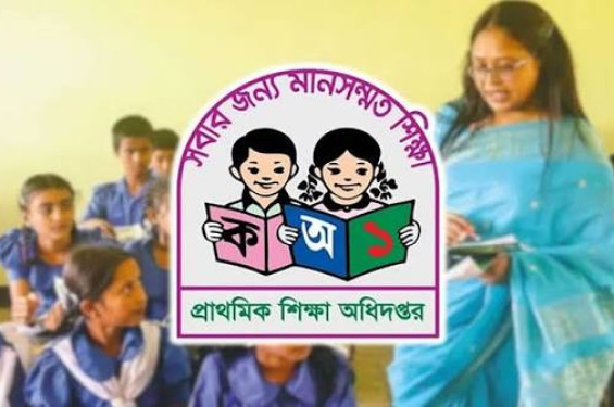 প্রাথমিক বৃত্তি পরীক্ষার ফল রোববার