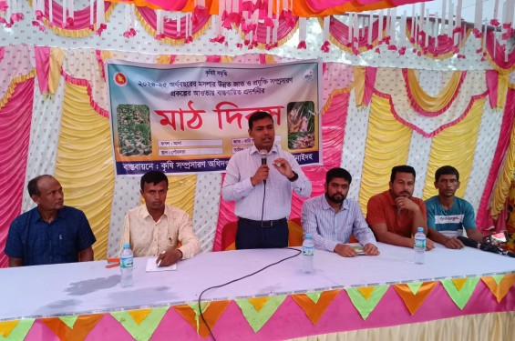 ঝিনাইদহে বস্তায় আদা চাষ বিষয়ক মাঠ দিবস অনুষ্ঠিত