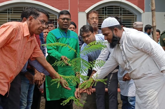 নবীনগরে ‘এক শহীদ, এক বৃক্ষ’ কর্মসূচিতে পাঁচ শহীদের স্মরণে বৃক্ষরোপণ