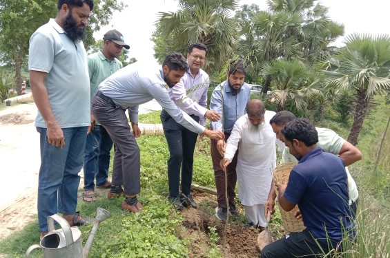 ক্ষেতলালে পানি উন্নয়ন বোর্ডের আয়োজনে  বৃক্ষরোপন কর্মসূচী পালন
