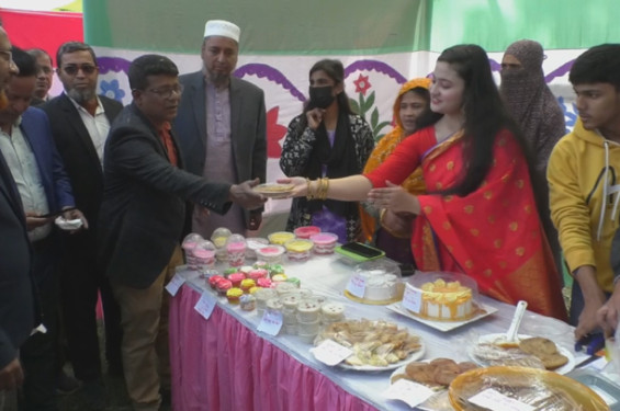 সাতক্ষীরায় গ্রাম বাংলার ঐতিহ্যবাহী বাহারি পিঠা উৎসব