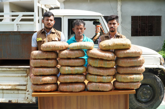 নরসিংদীতে ৪৫ কেজি গাঁজা উদ্ধার, মাদক কারবারি গ্রেফতার
