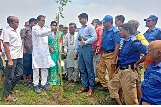 দিনাজপুরে বৃক্ষরোপন কর্মসূচীর উদ্বোধন করলেন জেলা প্রশাসক