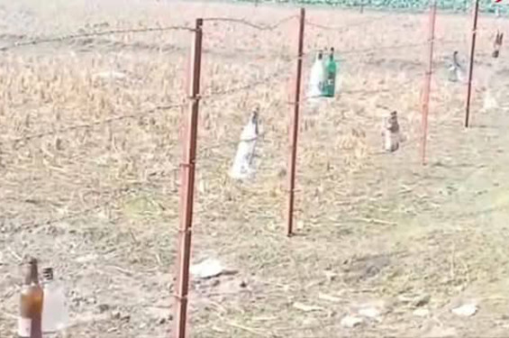 লালমনিরহাট সিমান্তে কাঁটাতারের বেড়ায় কাঁচের বোতল ঝুলিয়ে দিল বিএসএফ