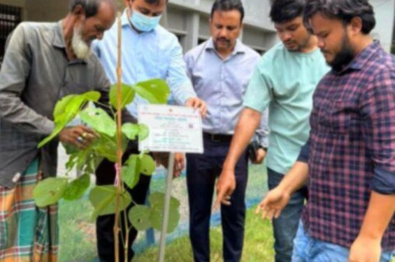 জুলাই অভ্যুত্থানের শহীদদের স্মরণে পলাশে ‘এক শহীদ, এক বৃক্ষ’ কর্মসূচি