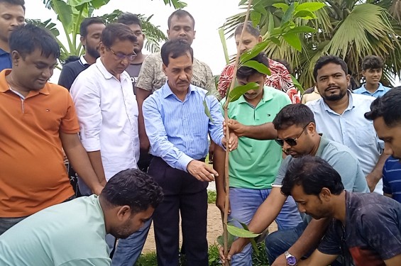 নওগাঁ পৌর ৭ নং ওয়ার্ড ছাত্র দলের উদ্যোগে বৃক্ষরোপণ কর্মসূচি