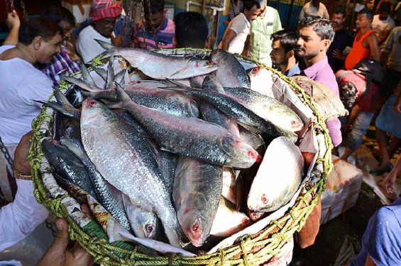 ভারতে বাংলাদেশি ইলিশের দামে আগুন