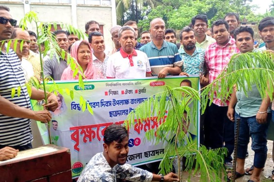বাউফলে ছাত্রদলের বৃক্ষরোপণ কর্মসূচি