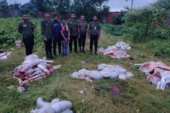 রূপগঞ্জে ঘোড়ার মাংস বিক্রির অভিযোগে বিক্রেতা আটক