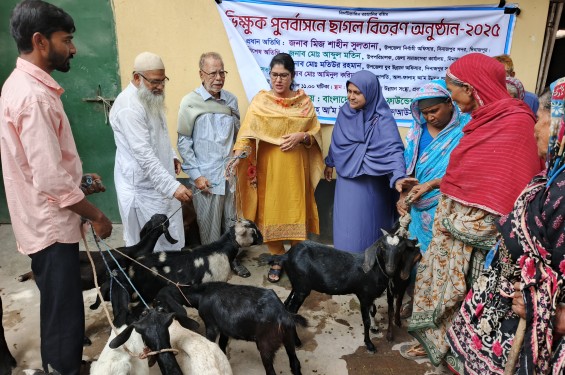 দিনাজপুরে  বিনামূল্যে ছাগল বিতরণ