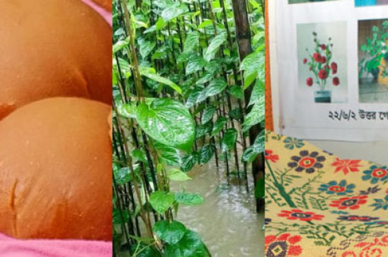 জিআই স্বীকৃতি পেল নকশিকাঁথাসহ ৩ পণ্য