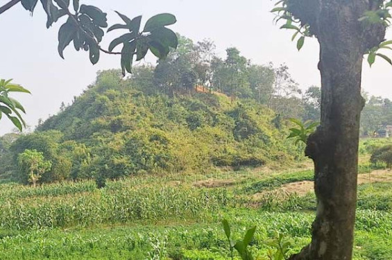 মিয়ানমারে যুদ্ধ: দিন দিন সংঘাত ছড়াচ্ছে দক্ষিণে