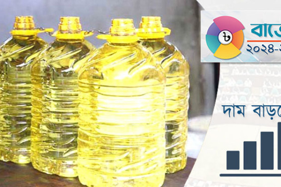 বাজেট ২০২৪-২৫: বাড়তে পারে যেসব পণ্যের দাম
