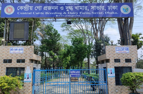 কেন্দ্রীয় গো প্রজনন ও দুগ্ধ খামারে দুদকের হানা