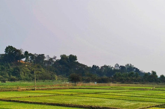 টেকনাফ সীমান্ত দিয়ে ফের রোহিঙ্গা অনুপ্রবেশ