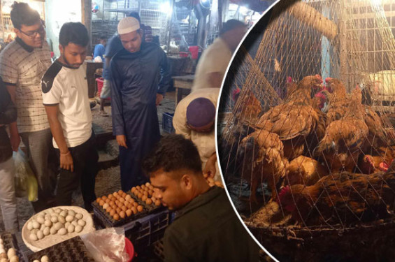 ডিম-মুরগির দাম নির্ধারণ করে দিল সরকার