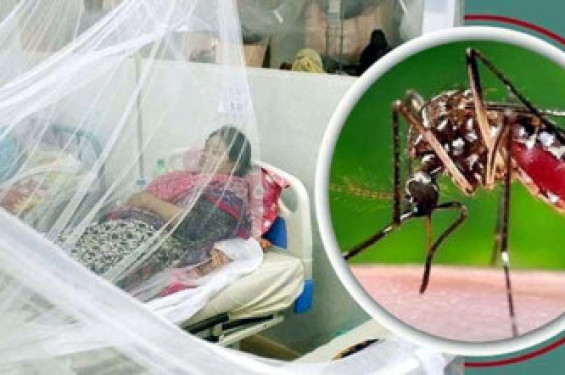 ডেঙ্গুতে আটজনের মৃত্যু, হাসপাতালে ভর্তি ১২২১