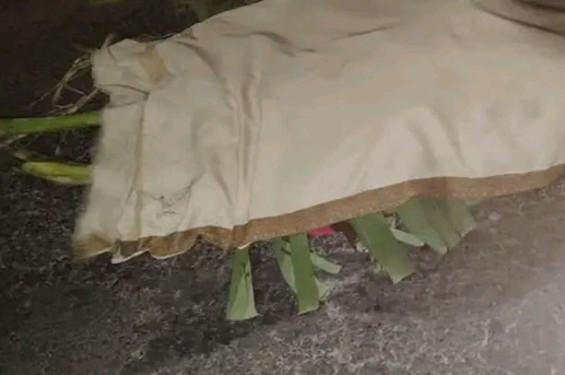ফরিদপুরে গাড়ির চাপায় বৃদ্ধার মৃত্যু