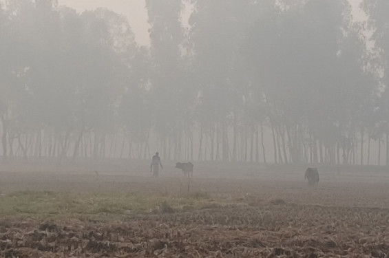কুড়িগ্রামে বেড়েছে শীতের দাপট