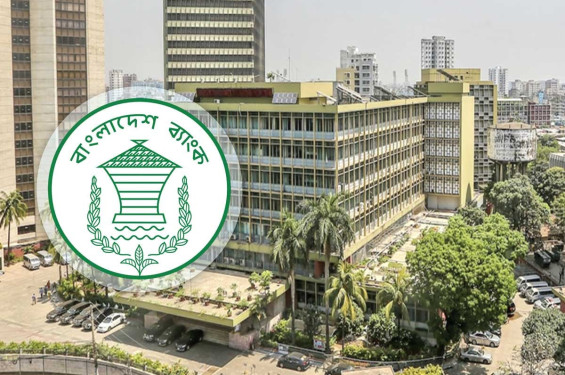 রিজার্ভ চুরি মামলার প্রতিবেদন দাখিল ১৮ ফেব্রুয়ারি