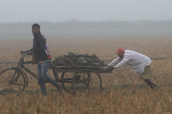 ঘন কুয়াশা ও হিমেল বাতাসে  উত্তরের জনজীবন ব্যাহত