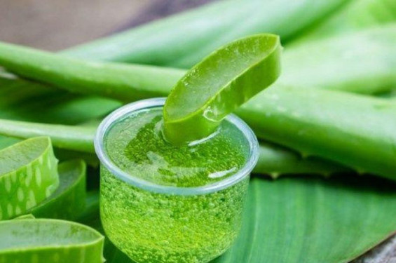 চোখের নিচে অ্যালোভেরা জেল মাখলে কী উপকার?