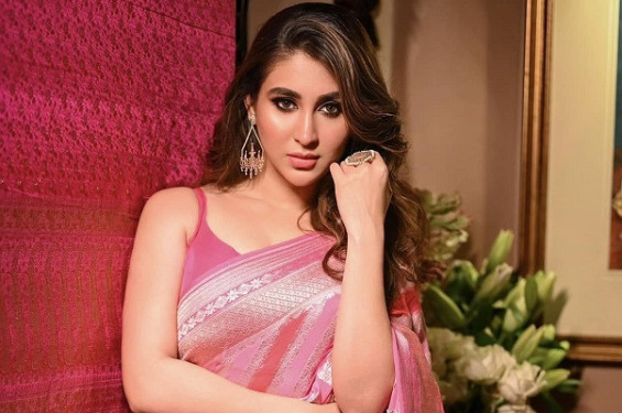 আত্মহননের সিদ্ধান্ত নিয়েছিলেন ঐন্দ্রিলা