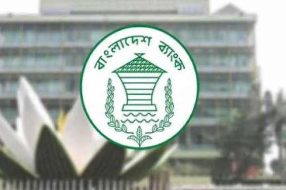ব্যক্তি পর্যায়ে ঋণের মেয়াদ বেড়ে হলো ৮ বছর
