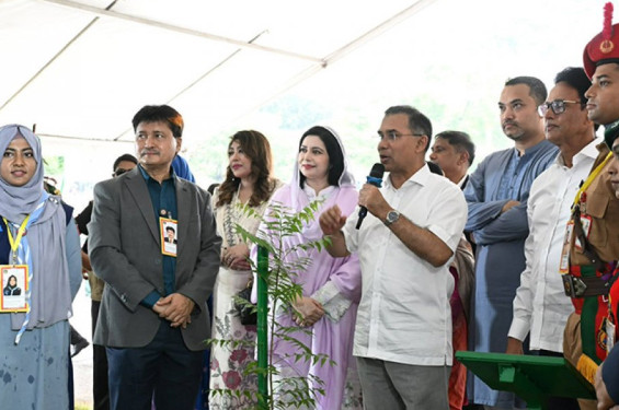 নবাগত শিশুকে স্বাগত জানিয়ে গাছ লাগাতে হবে : প্রধানমন্ত্রী