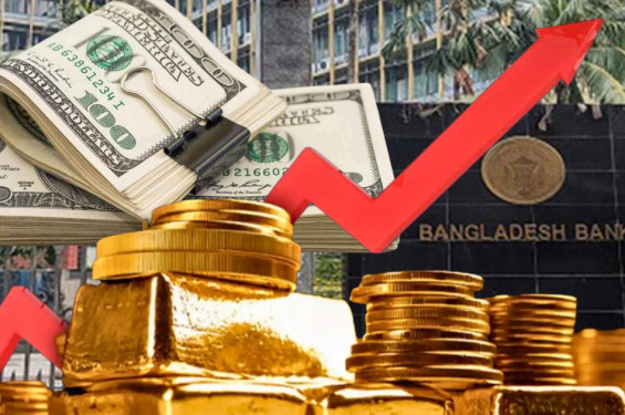 বিশ্ব বাজারে স্বর্ণের দামের প্রভাবে বাড়ল রির্জাভ