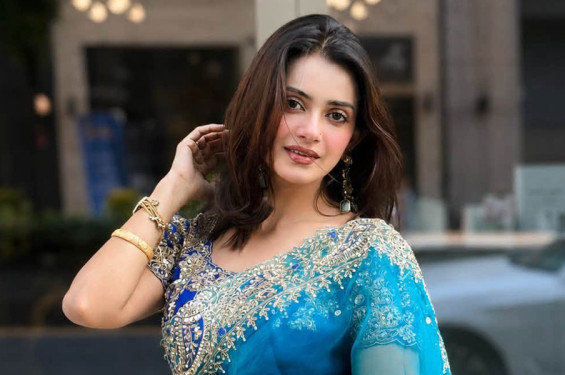 বাংলাদেশে নিজেকে নিরাপদ মনে করি না : তিশা