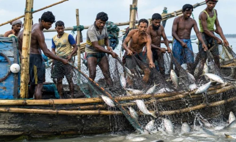 সাড়ে ৬ লাখ জেলে পরিবার পাচ্ছে ১৬৫৭ মেট্রিক টন চাল