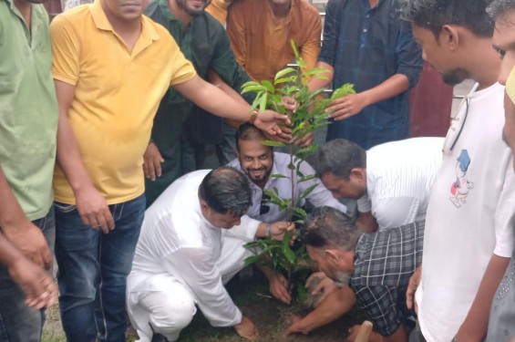 ডা: জোবাইদা রহমানের জন্মদিন উপলক্ষে নওগাঁয় বৃক্ষরোপণ