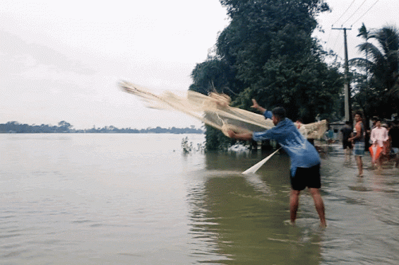 সুনামগঞ্জে ভেসে গেছে ২ হাজার পুকুরের মাছ